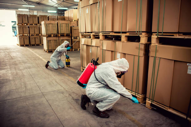 Best Pest Prevention Services  in Bainbridge Island, WA