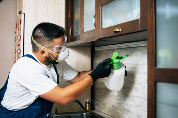 Best Best Pest Control Companies  in Bainbridge Island, WA