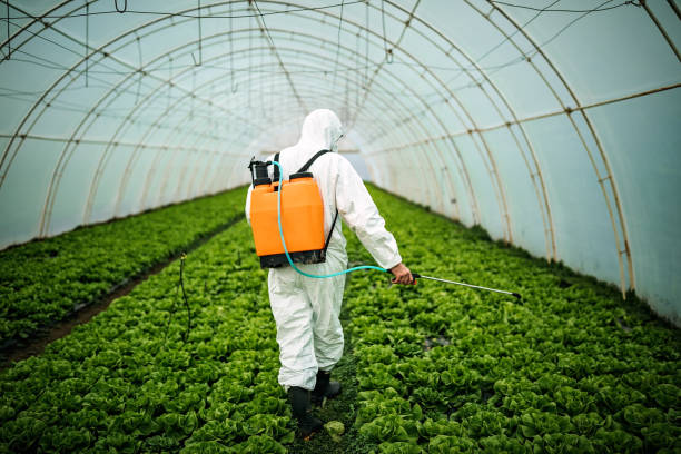 Best Pest Prevention Services  in Bainbridge Island, WA