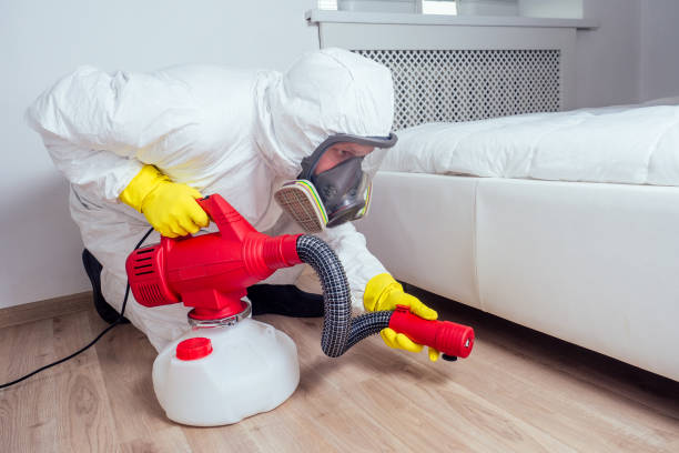 Best Local Pest Control Services  in Bainbridge Island, WA