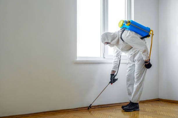 Pest Prevention Services in Bainbridge Island, WA