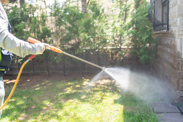 Best Ant Control Services  in Bainbridge Island, WA