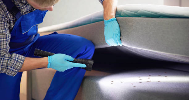 Reliable Bainbridge Island, WA Pest Control Solutions