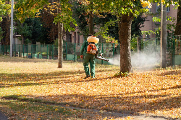 Best Wasp Removal Services  in Bainbridge Island, WA