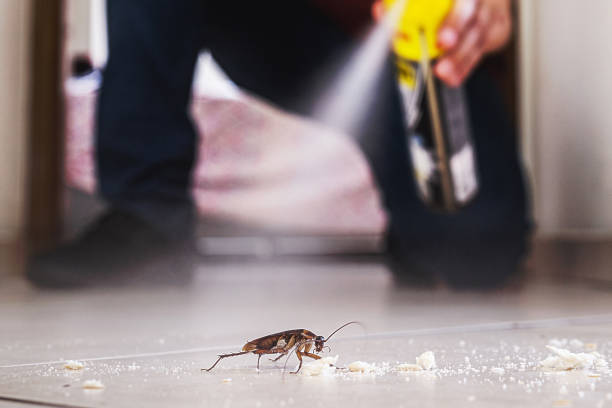 Best Wildlife Control Services  in Bainbridge Island, WA