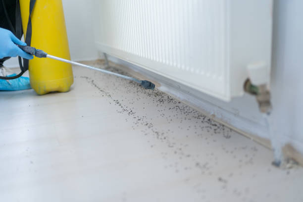 Best Pest Removal Services  in Bainbridge Island, WA