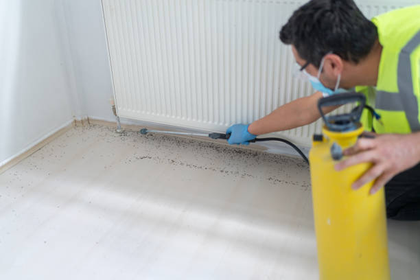Best Mosquito Control Services  in Bainbridge Island, WA